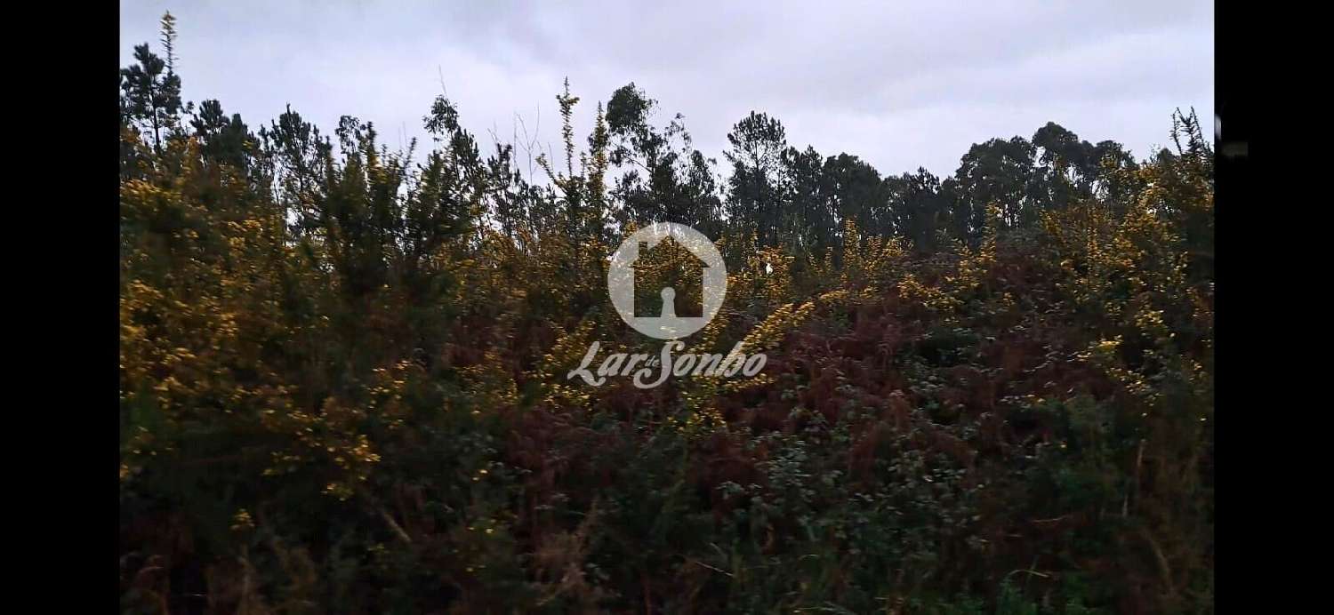  te koop terrein Cervães Vila Verde 2