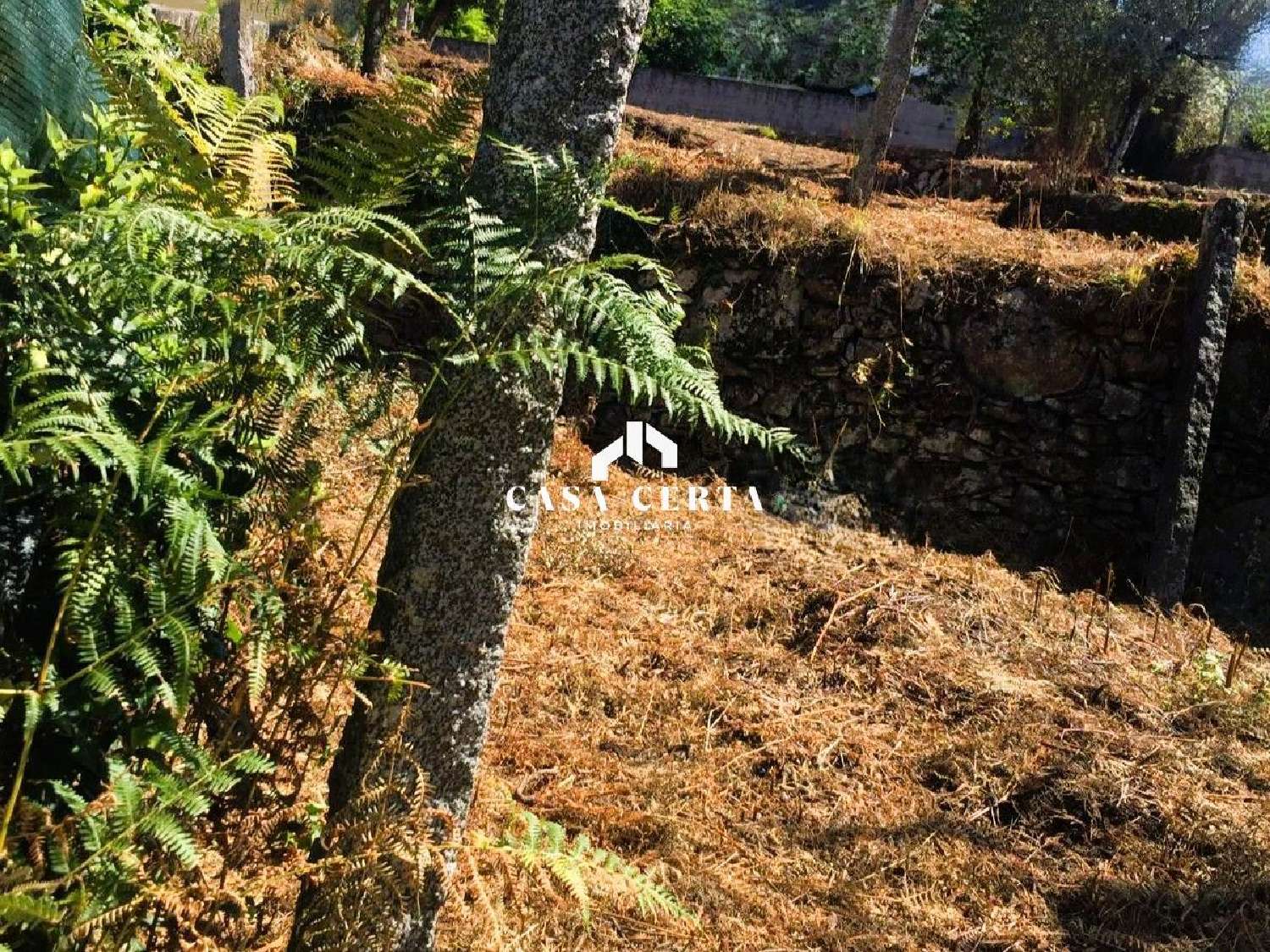 te koop terrein Creixomil Barcelos 2