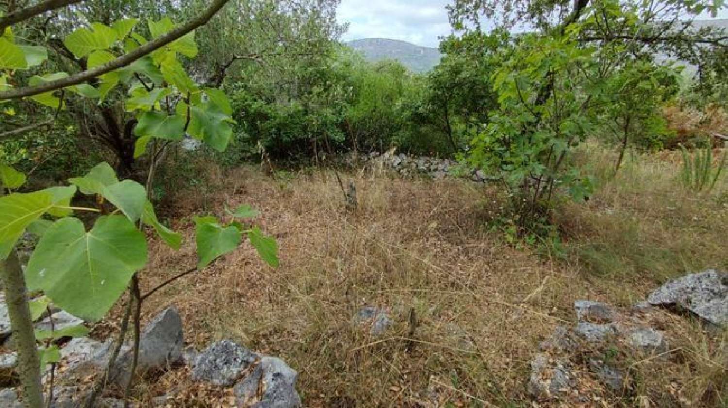 à vendre terrain Minde Alcanena 2