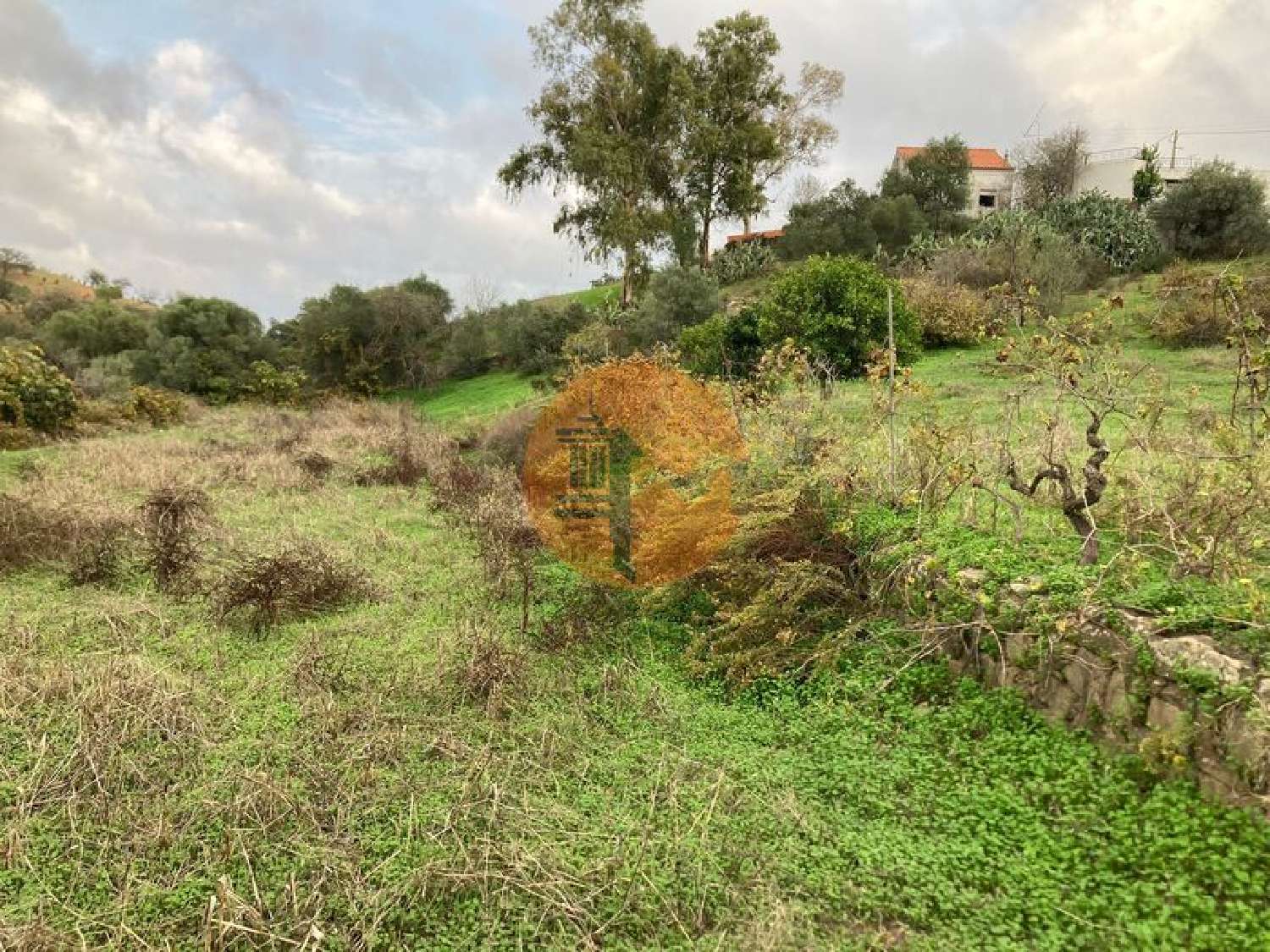  te koop terrein Odeleite Castro Marim 3