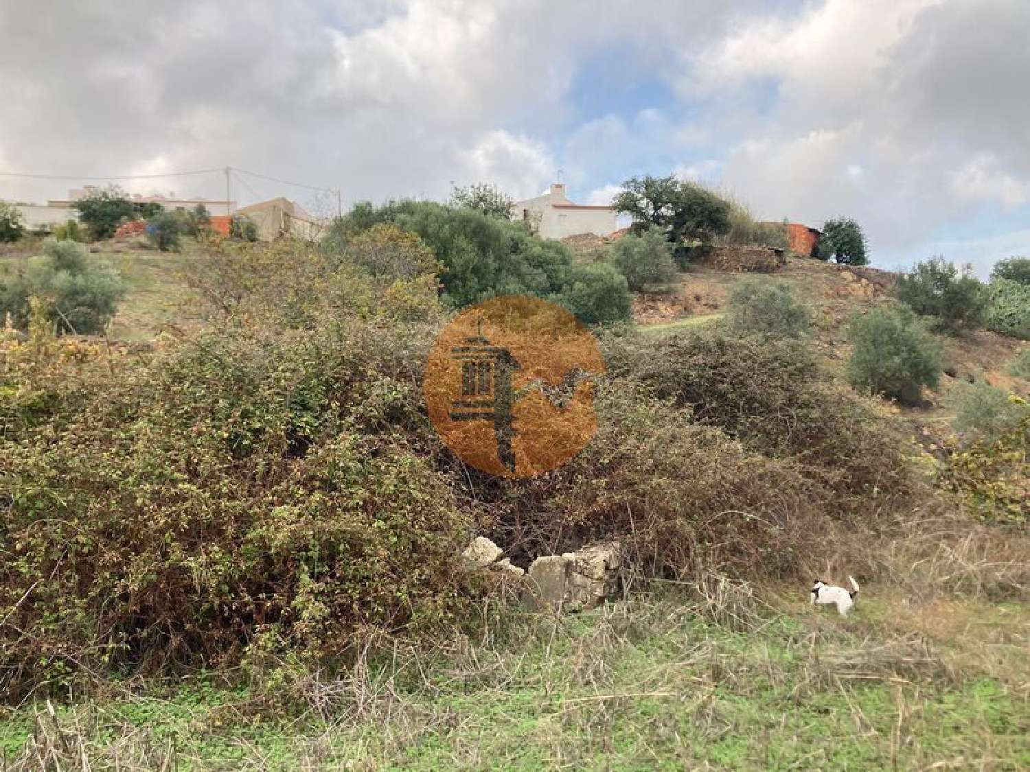  te koop terrein Odeleite Castro Marim 4