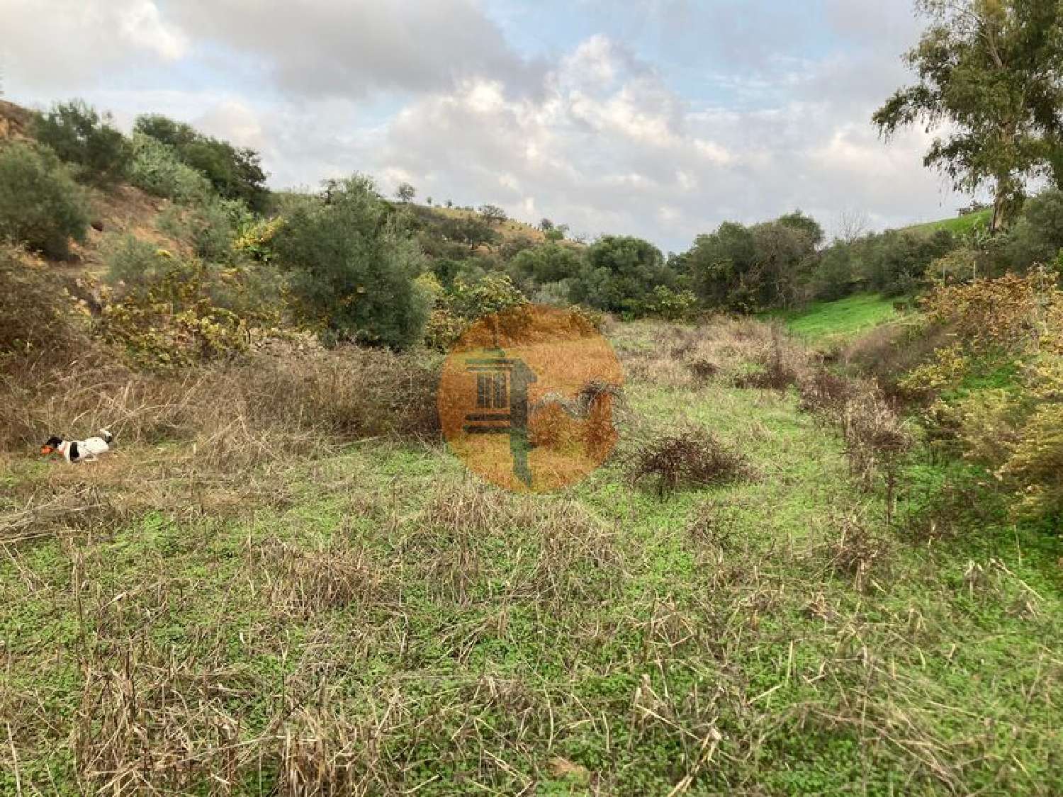  te koop terrein Odeleite Castro Marim 6