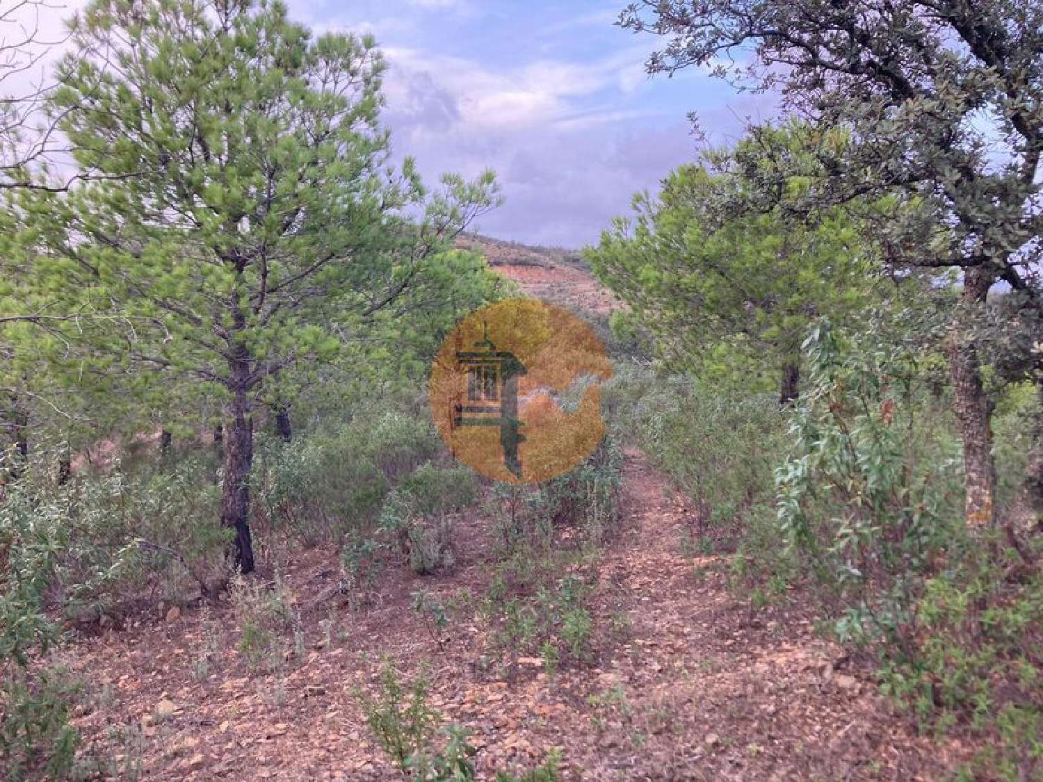  te koop terrein Odeleite Castro Marim 1