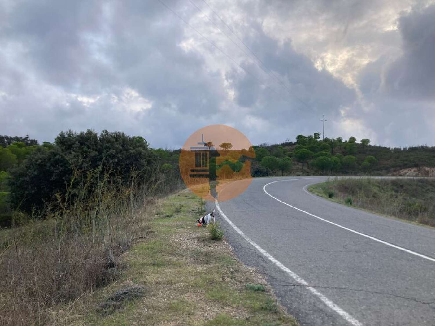  te koop terrein Odeleite Castro Marim 3
