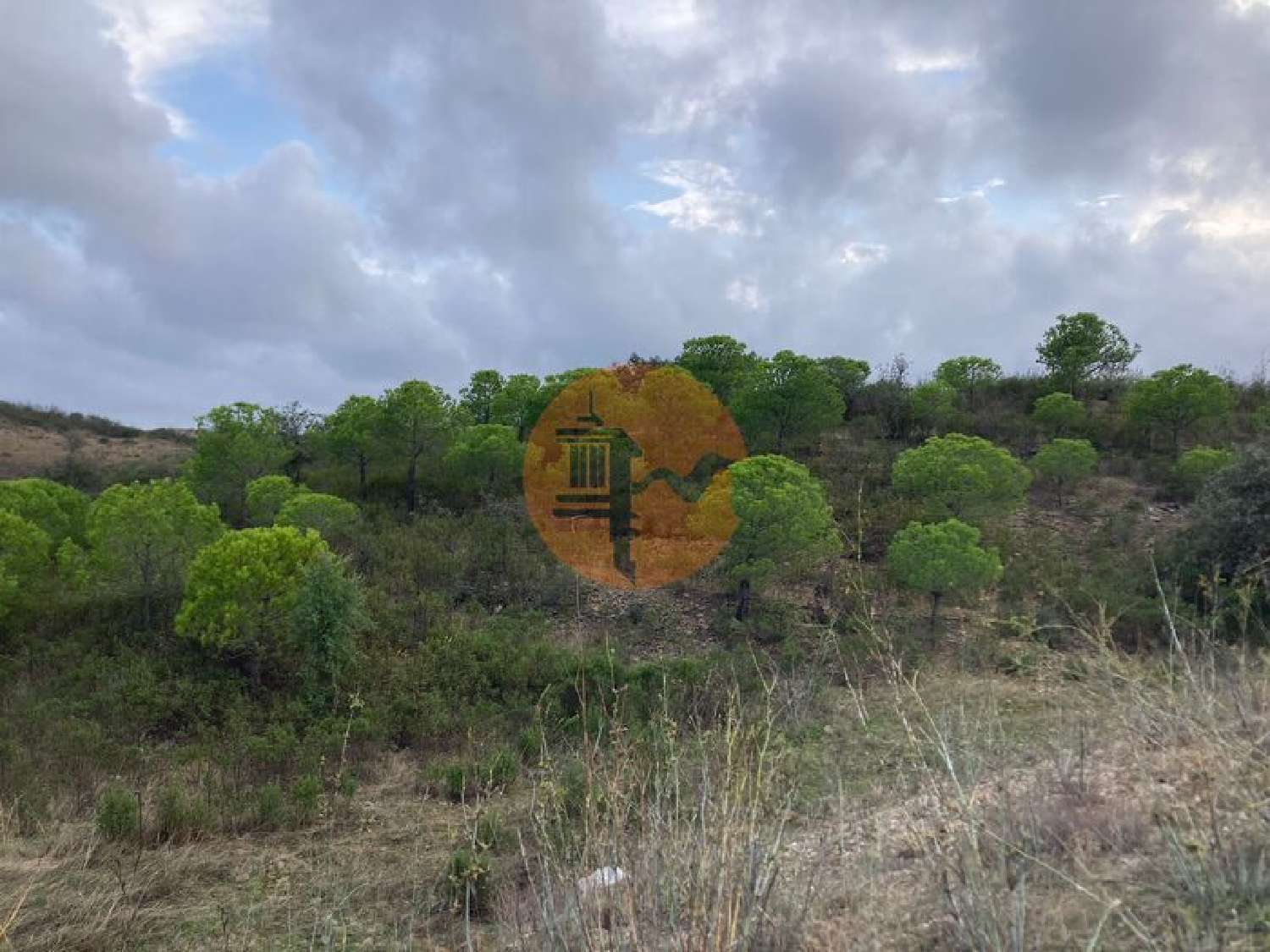  te koop terrein Odeleite Castro Marim 5