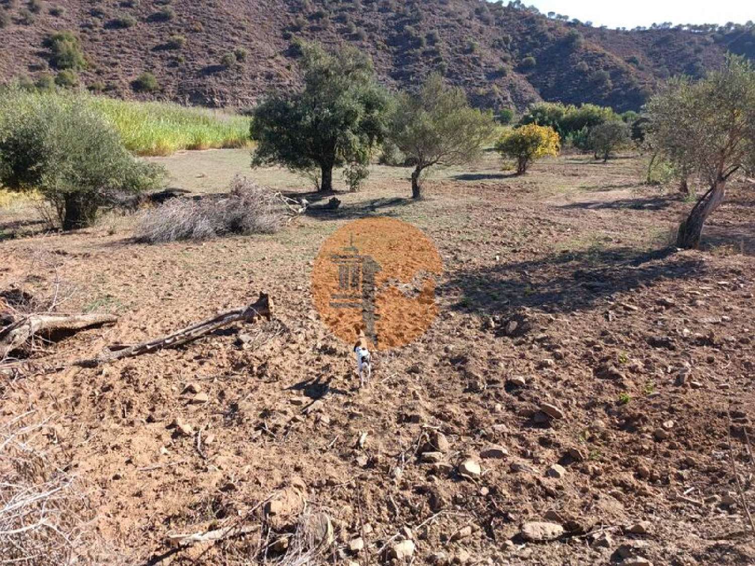  à vendre terrain Odeleite Castro Marim 3