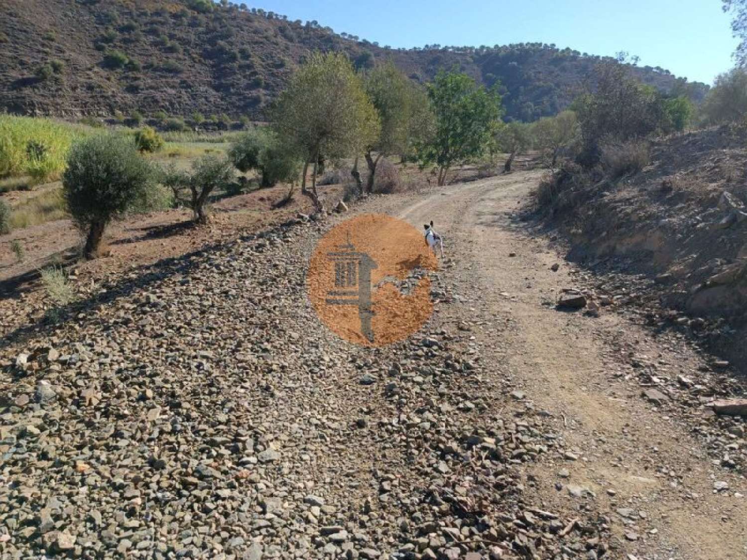 à vendre terrain Odeleite Castro Marim 6