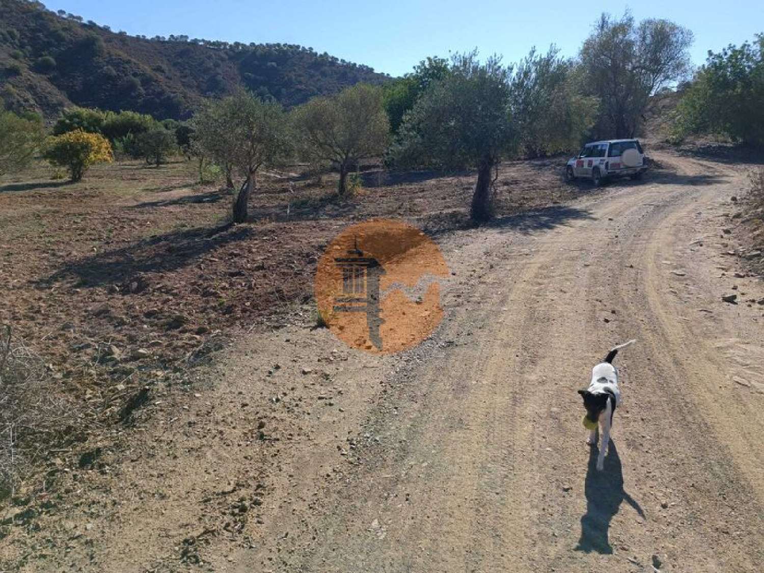  à vendre terrain Odeleite Castro Marim 7