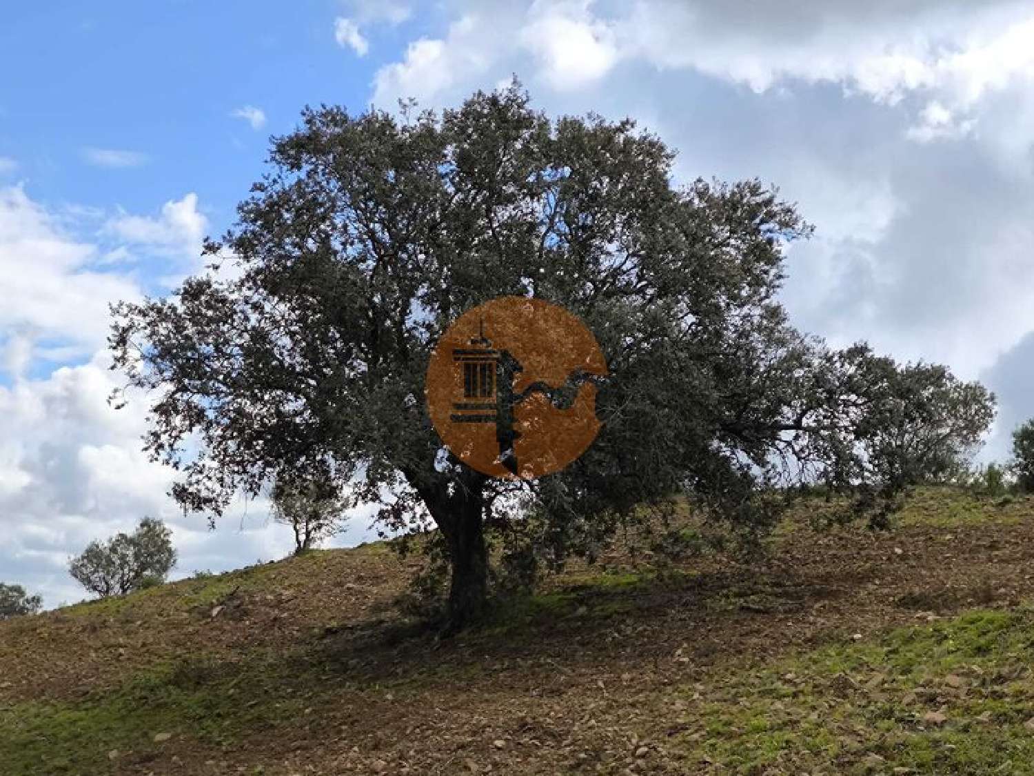  te koop terrein Odeleite Castro Marim 5