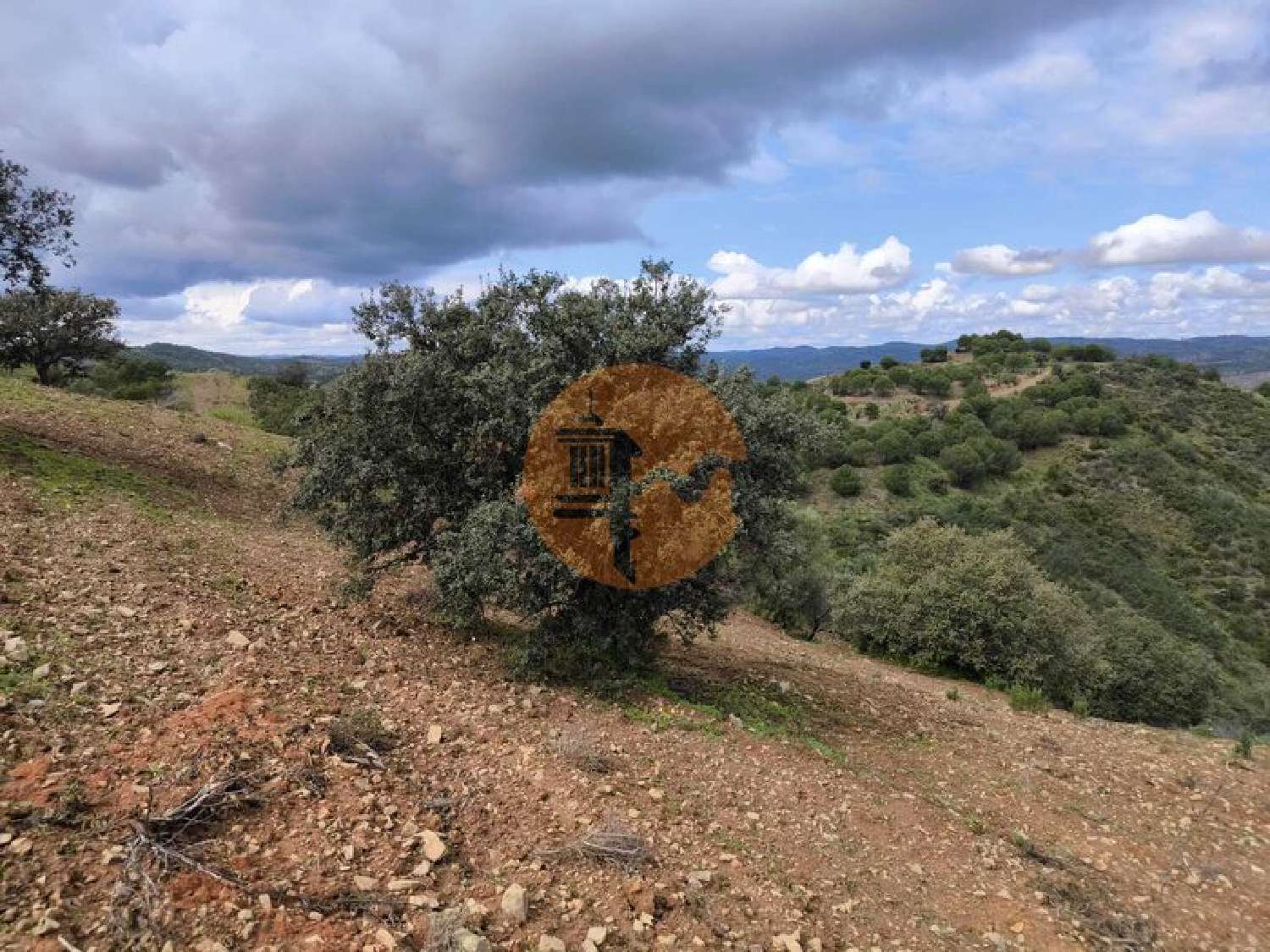  te koop terrein Odeleite Castro Marim 8