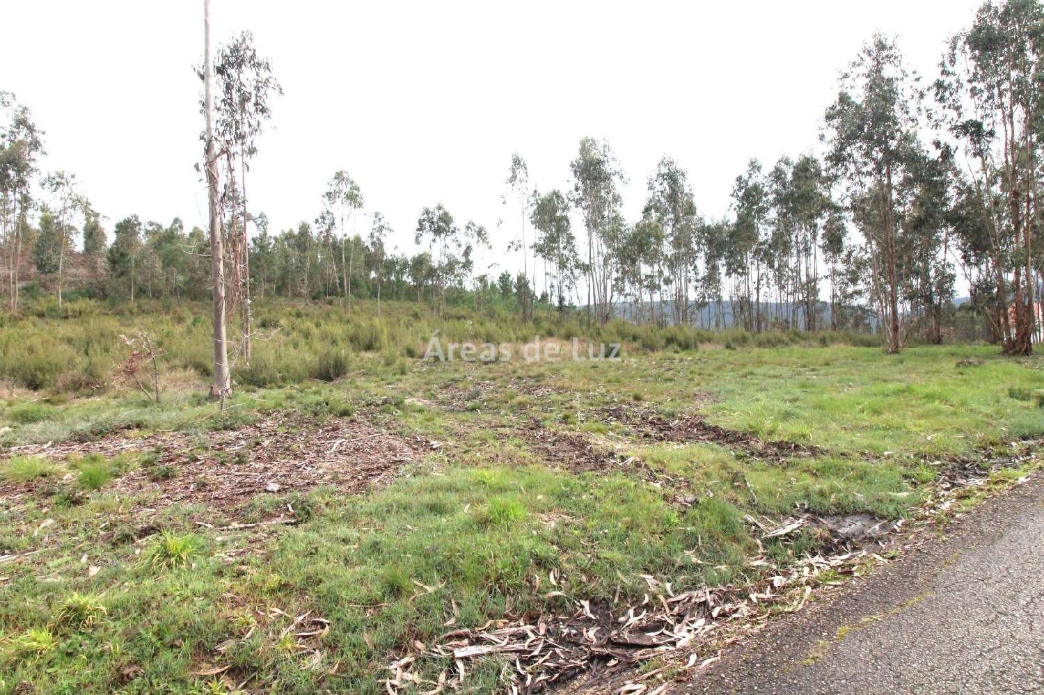 te koop terrein Redinha Pombal 2