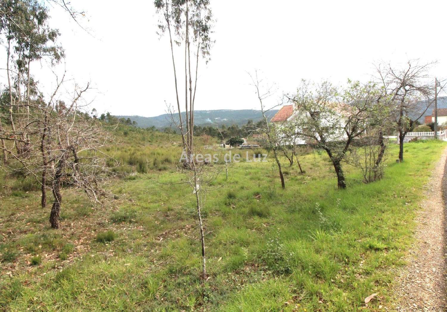 te koop terrein Redinha Pombal 3
