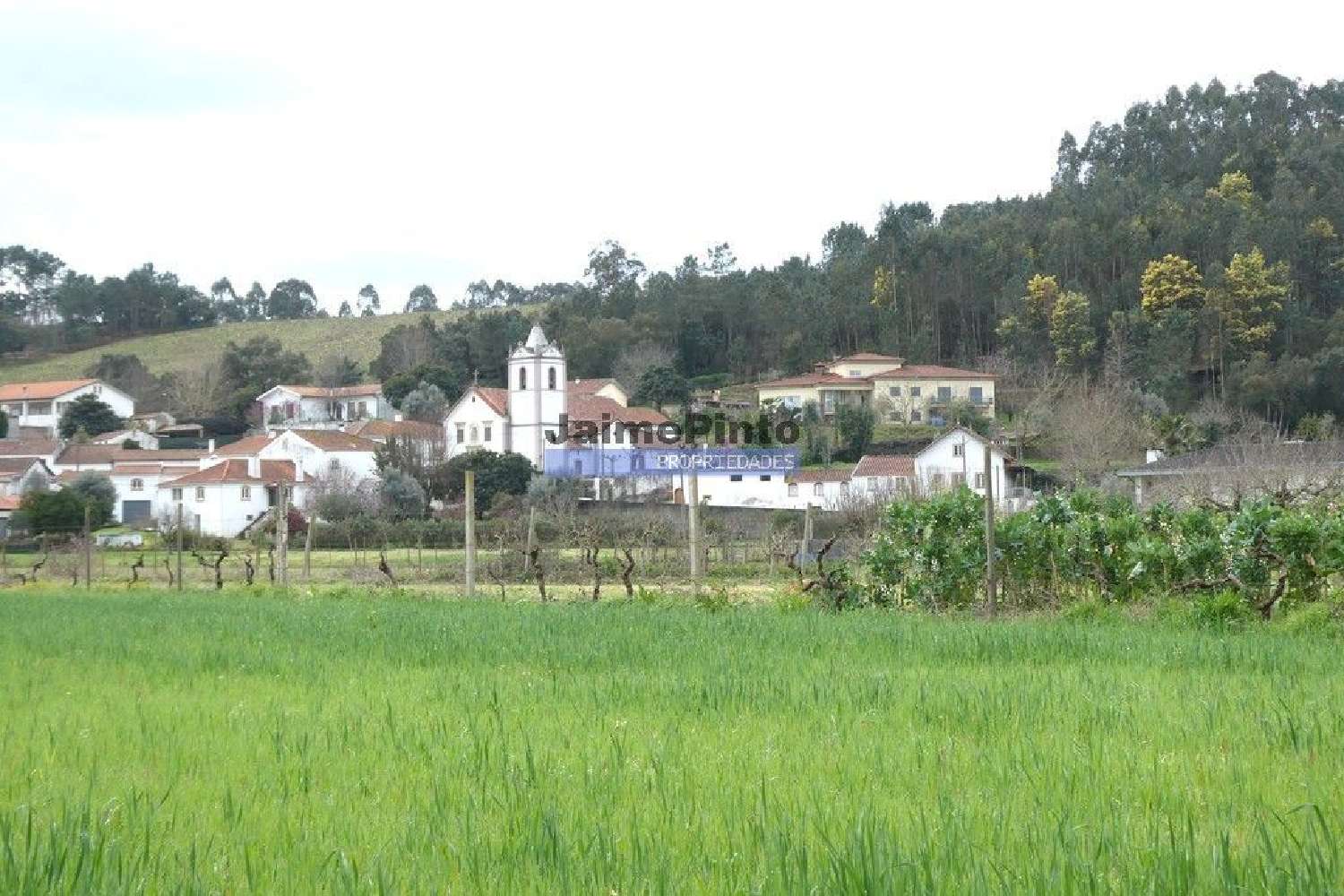 te koop terrein Semide Miranda Do Corvo 2