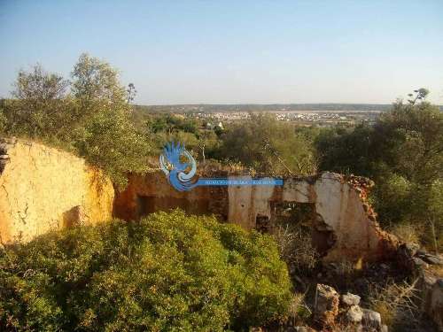 Silves Silves terrein foto 312773