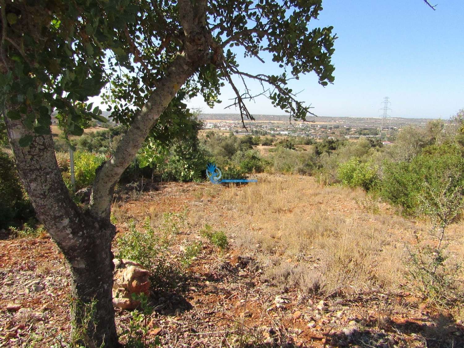  à venda terreno Silves Silves 2