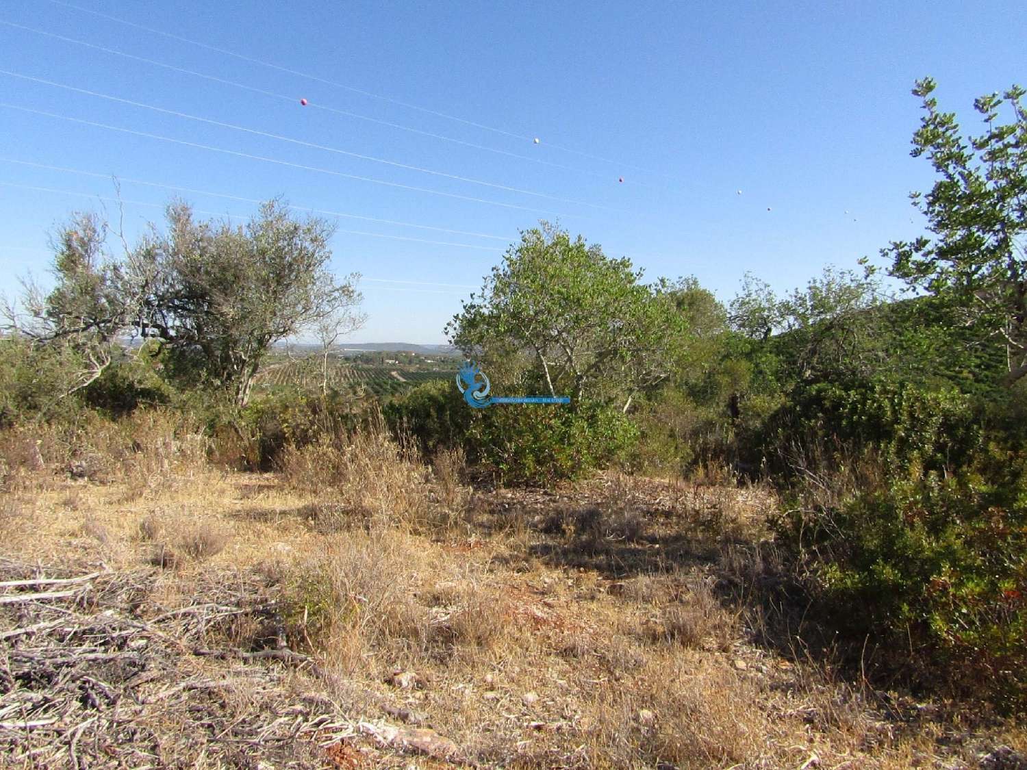  à venda terreno Silves Silves 6