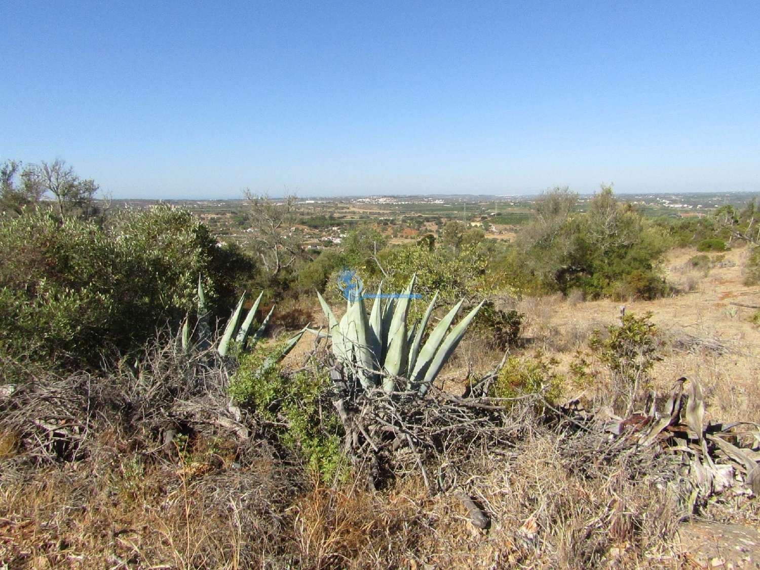  à venda terreno Silves Silves 8