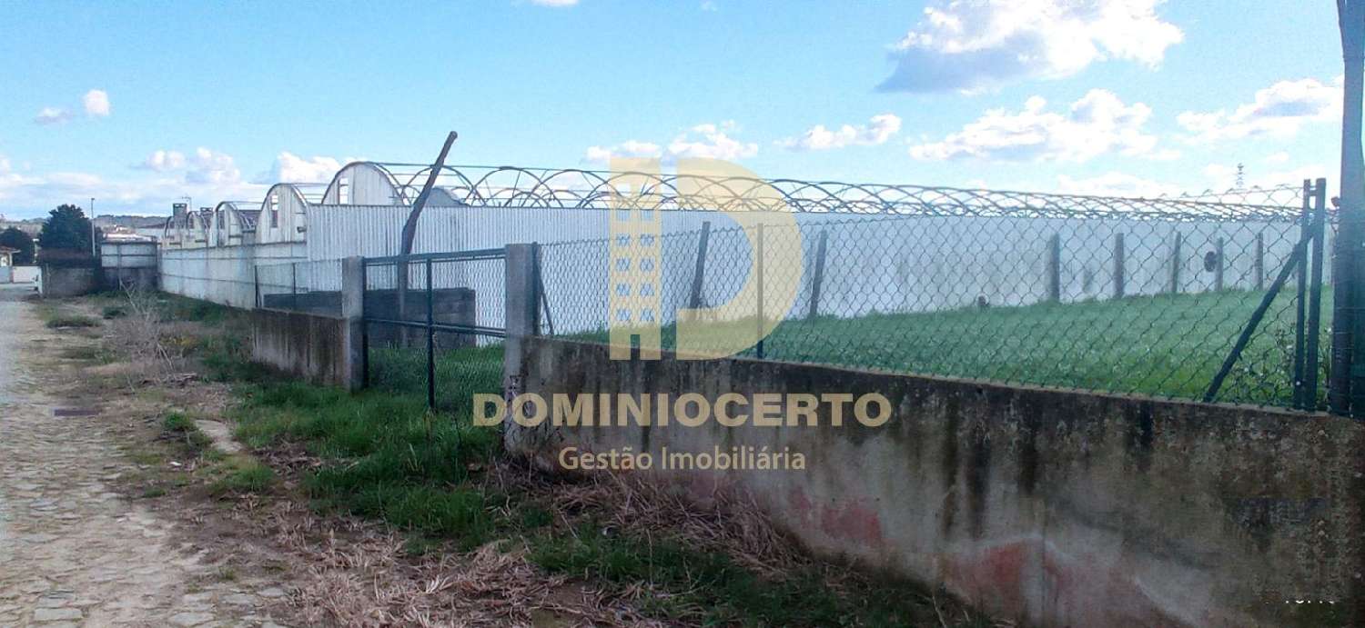  à venda terreno Viatodos Barcelos 3