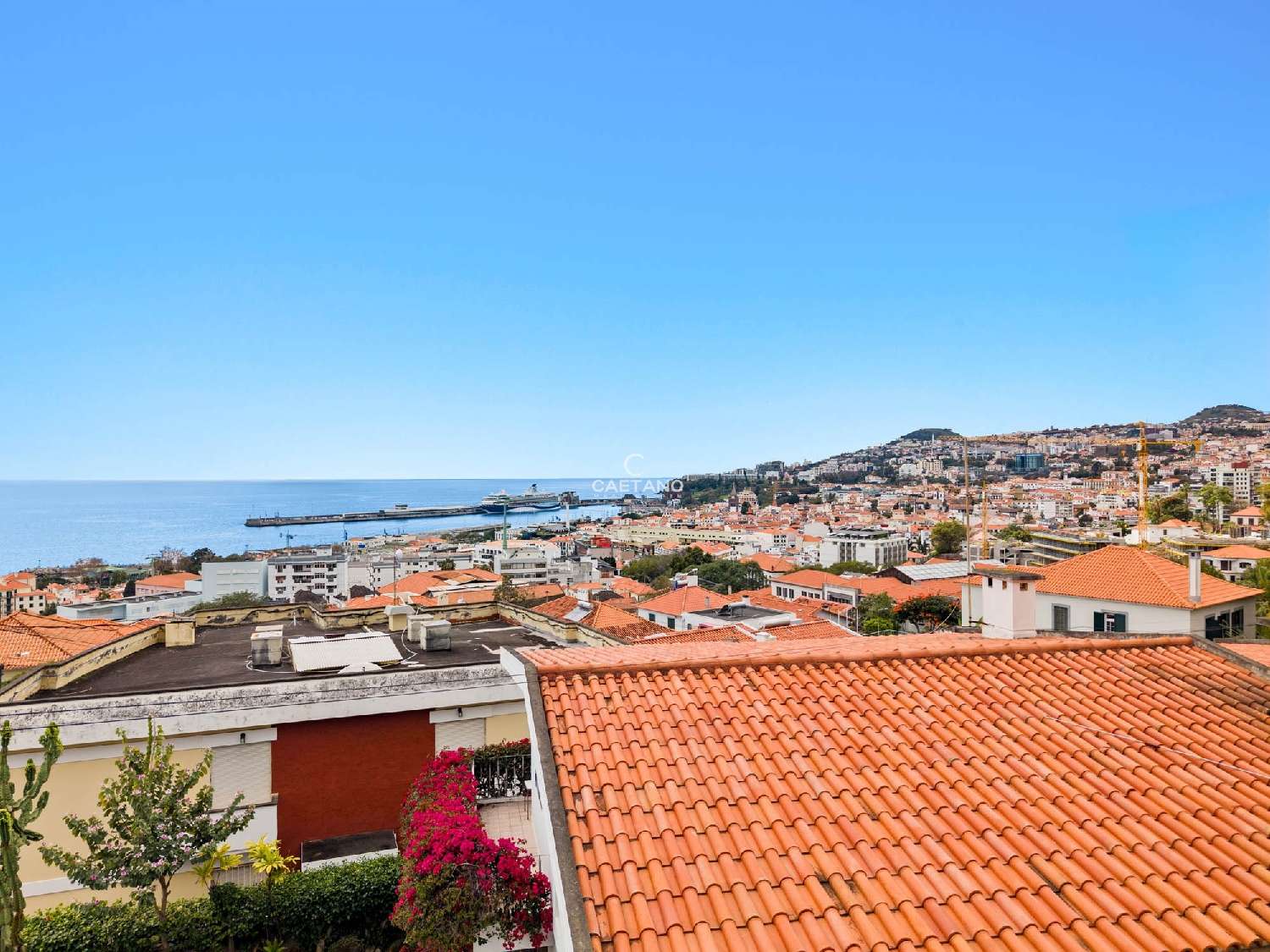 kaufen Villa Funchal Funchal 2