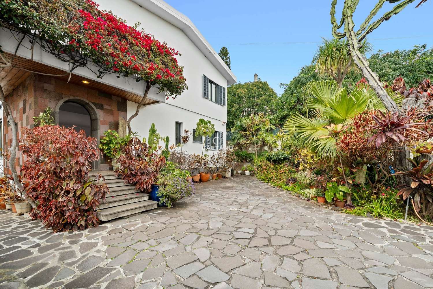  kaufen Villa Funchal Funchal 4
