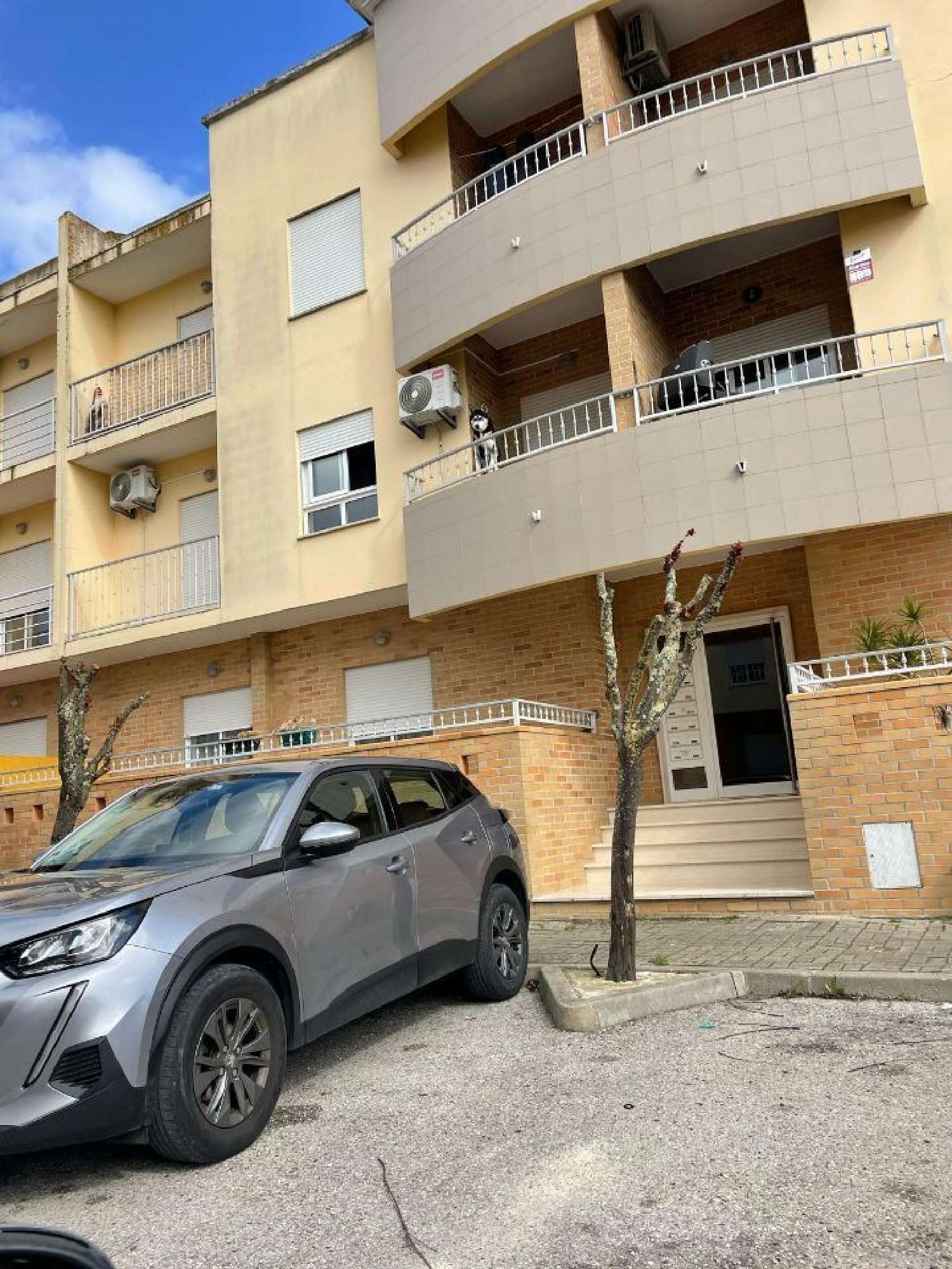  à venda apartamento Riachos Torres Novas 1