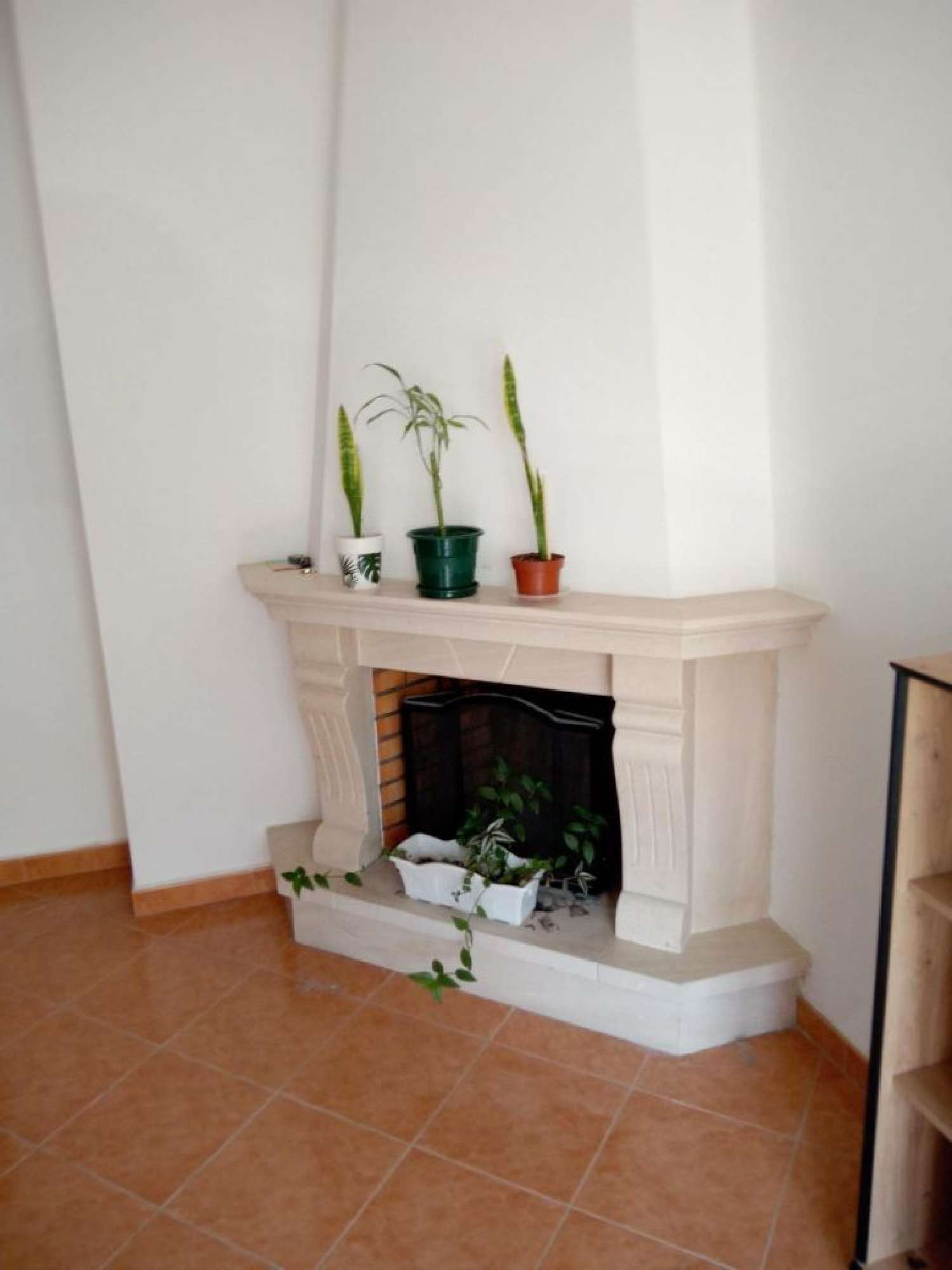 à venda apartamento Riachos Torres Novas 3