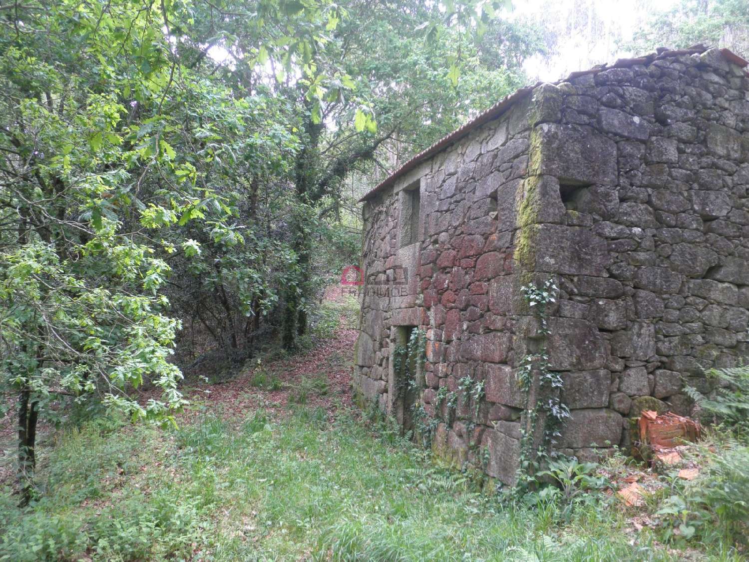  for sale farm Talhadas Sever Do Vouga 1