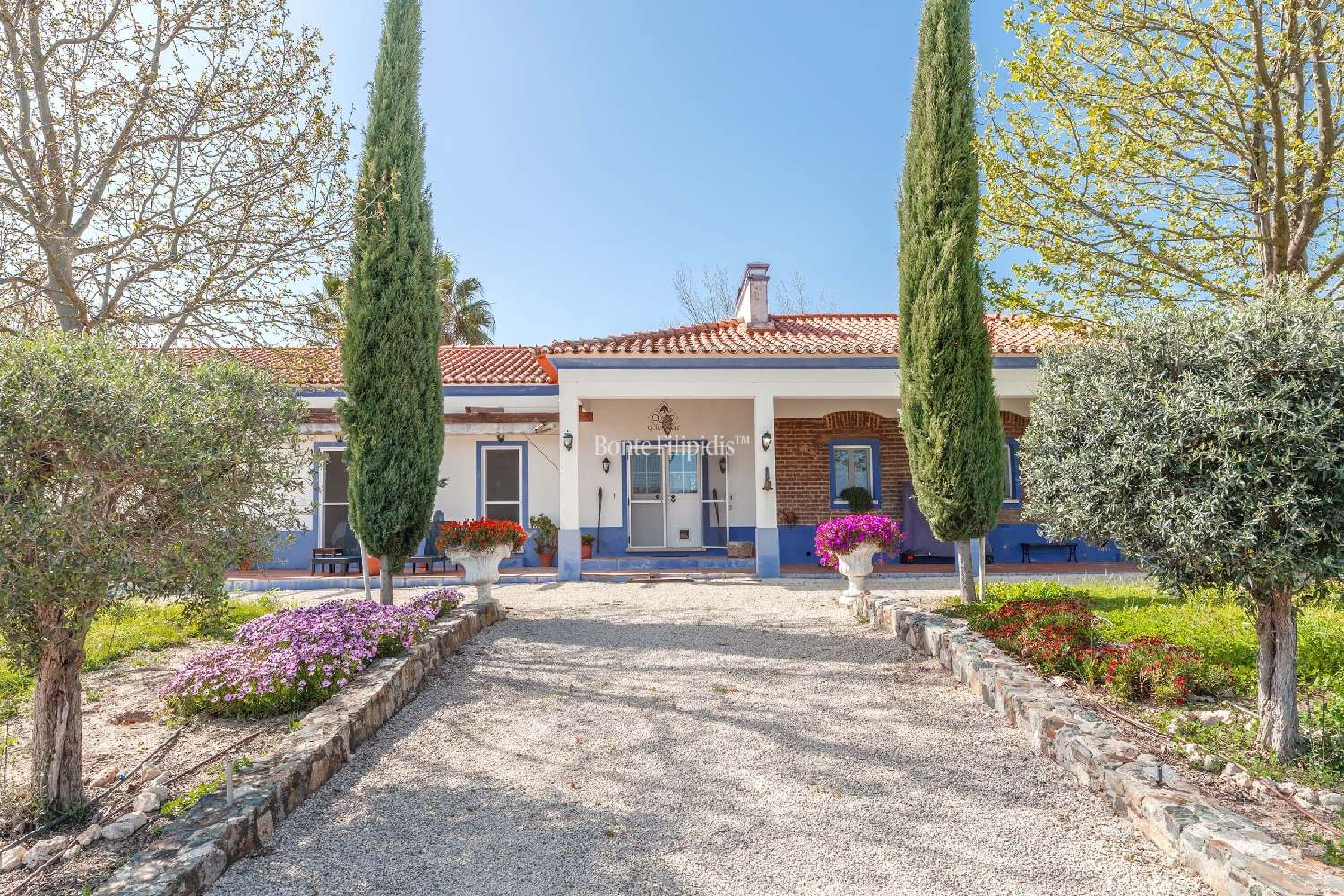  te koop boerderij Vidigueira Vidigueira 1