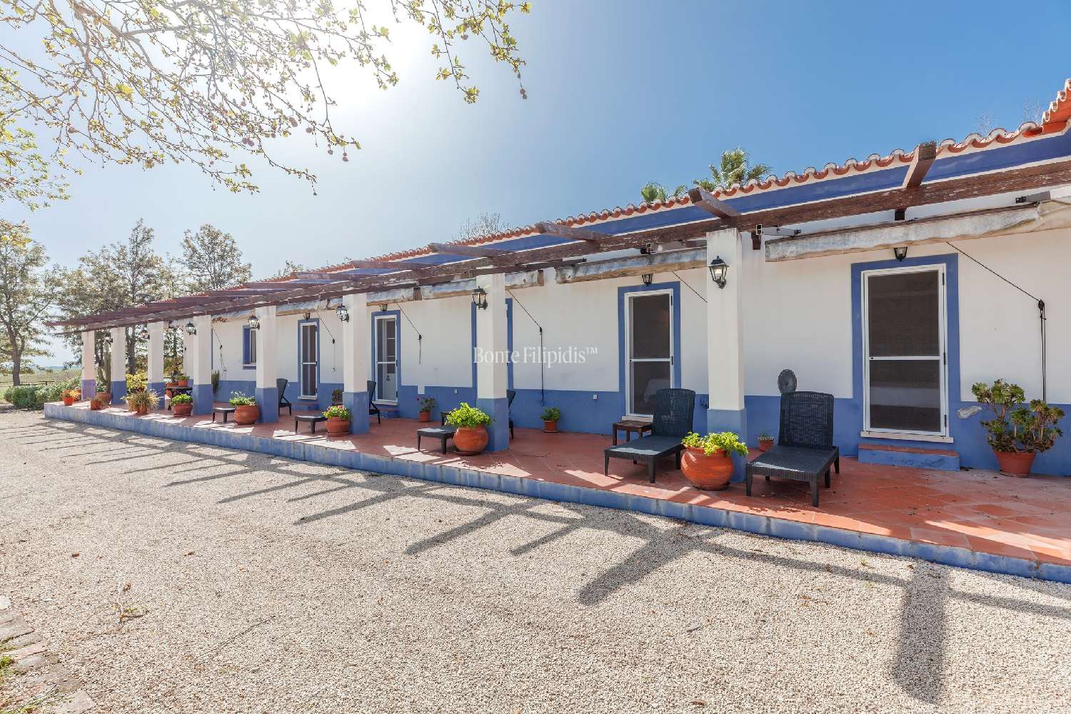 te koop boerderij Vidigueira Vidigueira 2