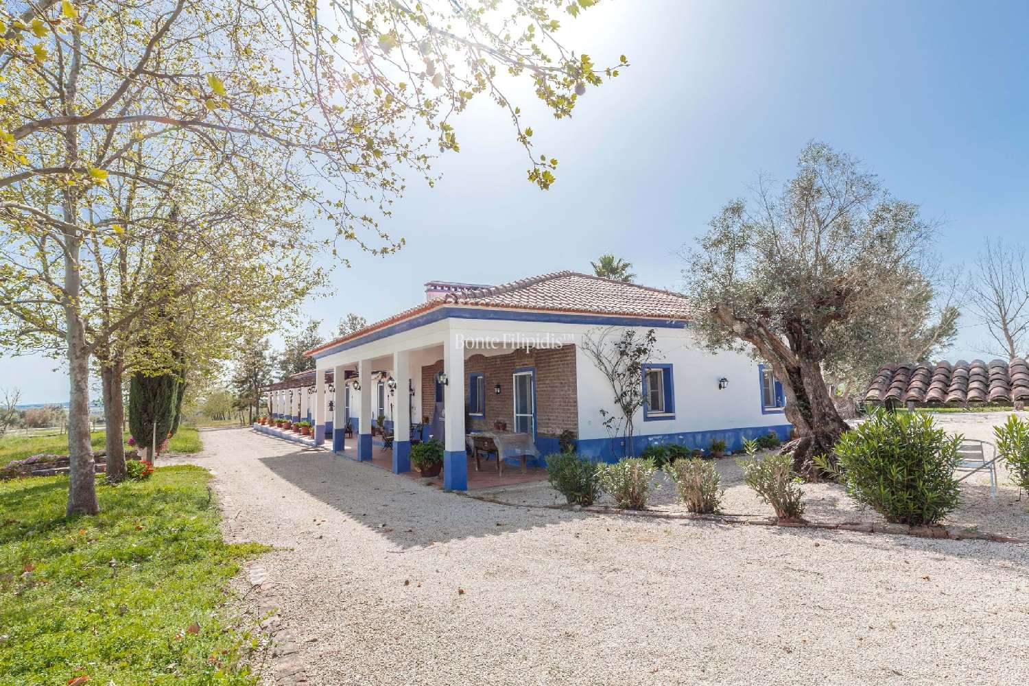 te koop boerderij Vidigueira Vidigueira 3