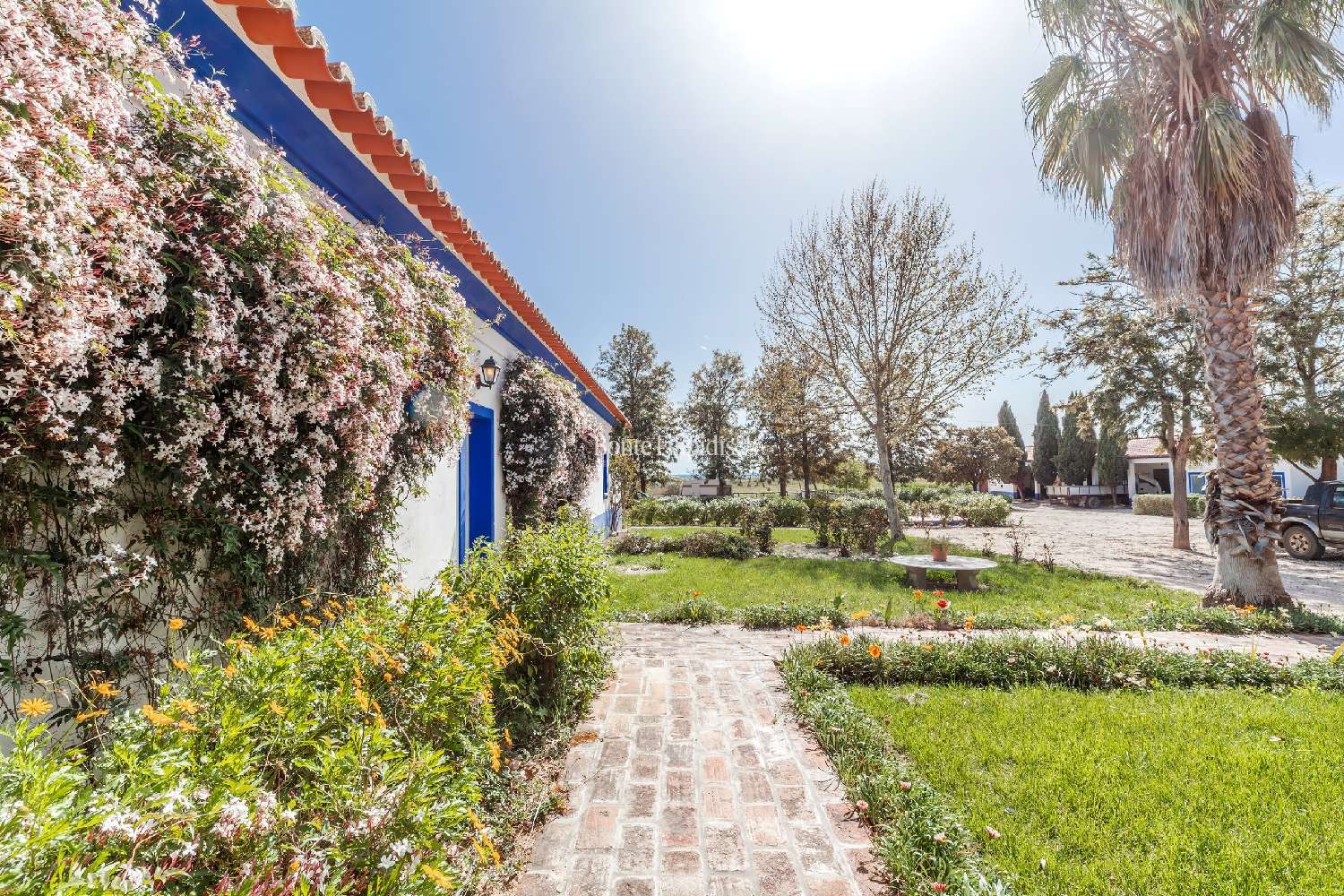  te koop boerderij Vidigueira Vidigueira 4