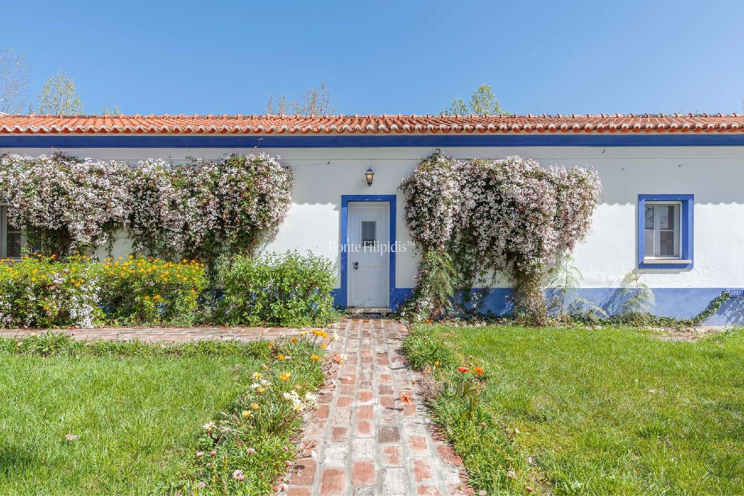  te koop boerderij Vidigueira Vidigueira 5