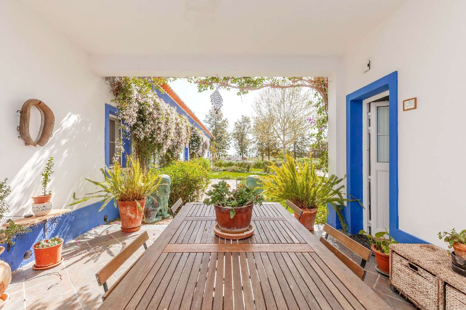  te koop boerderij Vidigueira Vidigueira 7