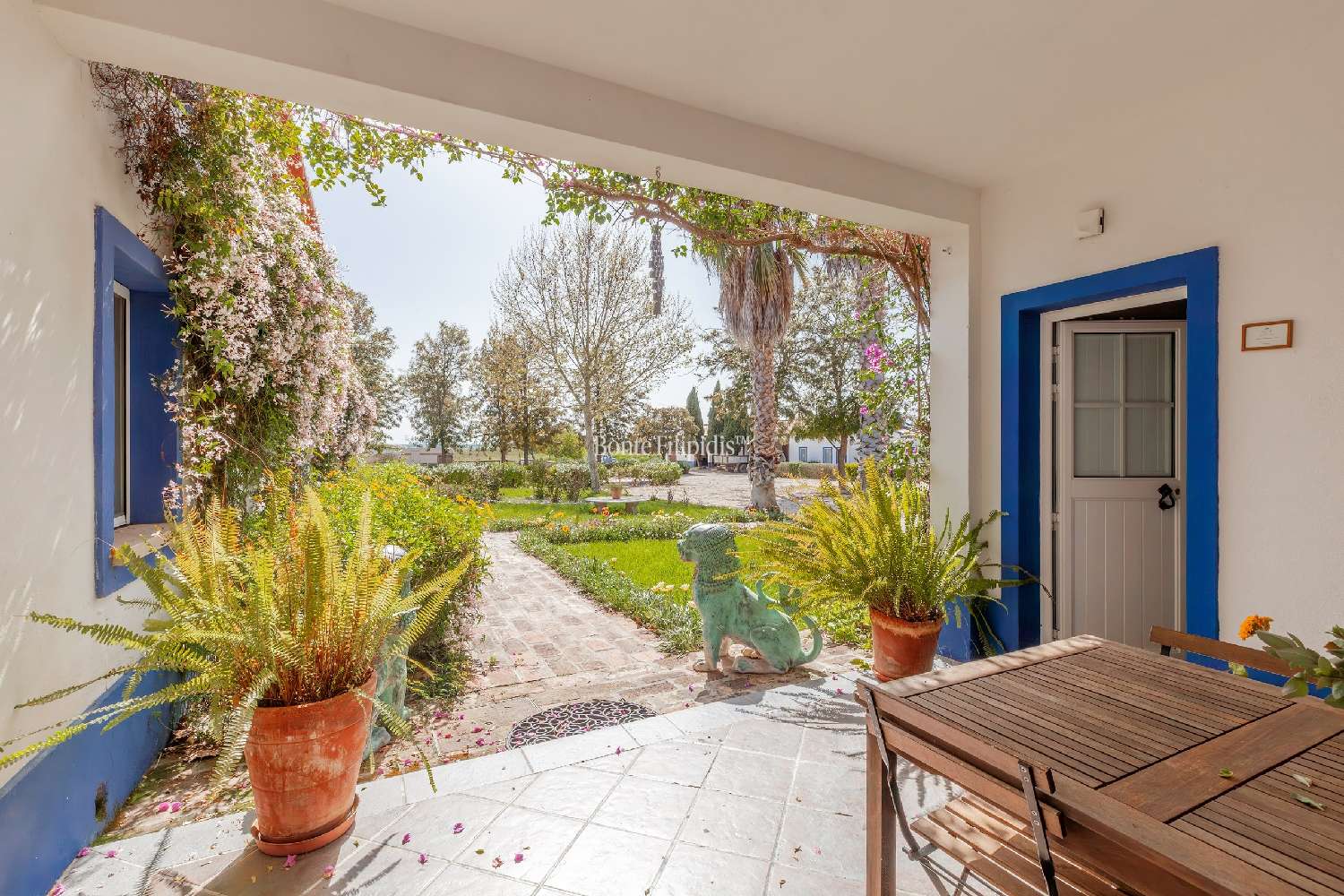  te koop boerderij Vidigueira Vidigueira 8