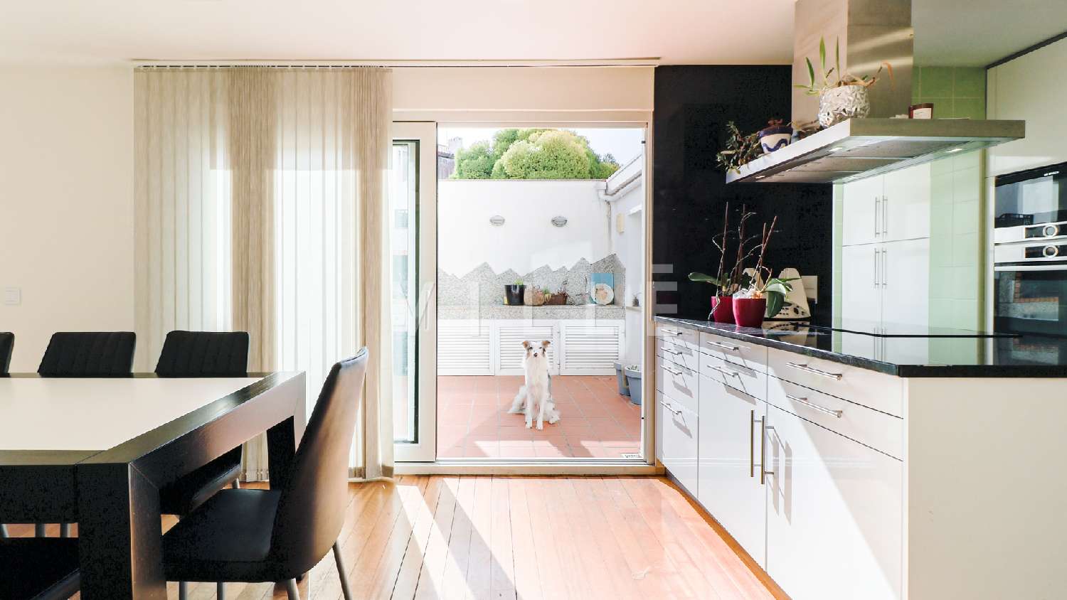  te koop huis Aveiro Aveiro 1