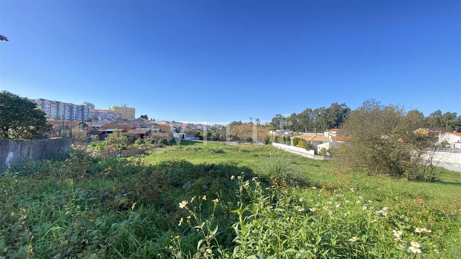  te koop huis Aveiro Aveiro 3