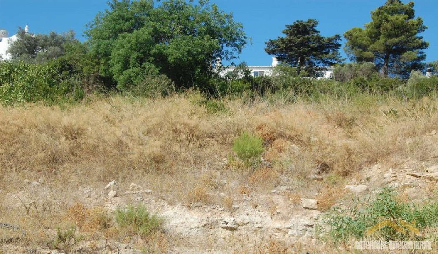  te koop huis Carvoeiro Mação 1