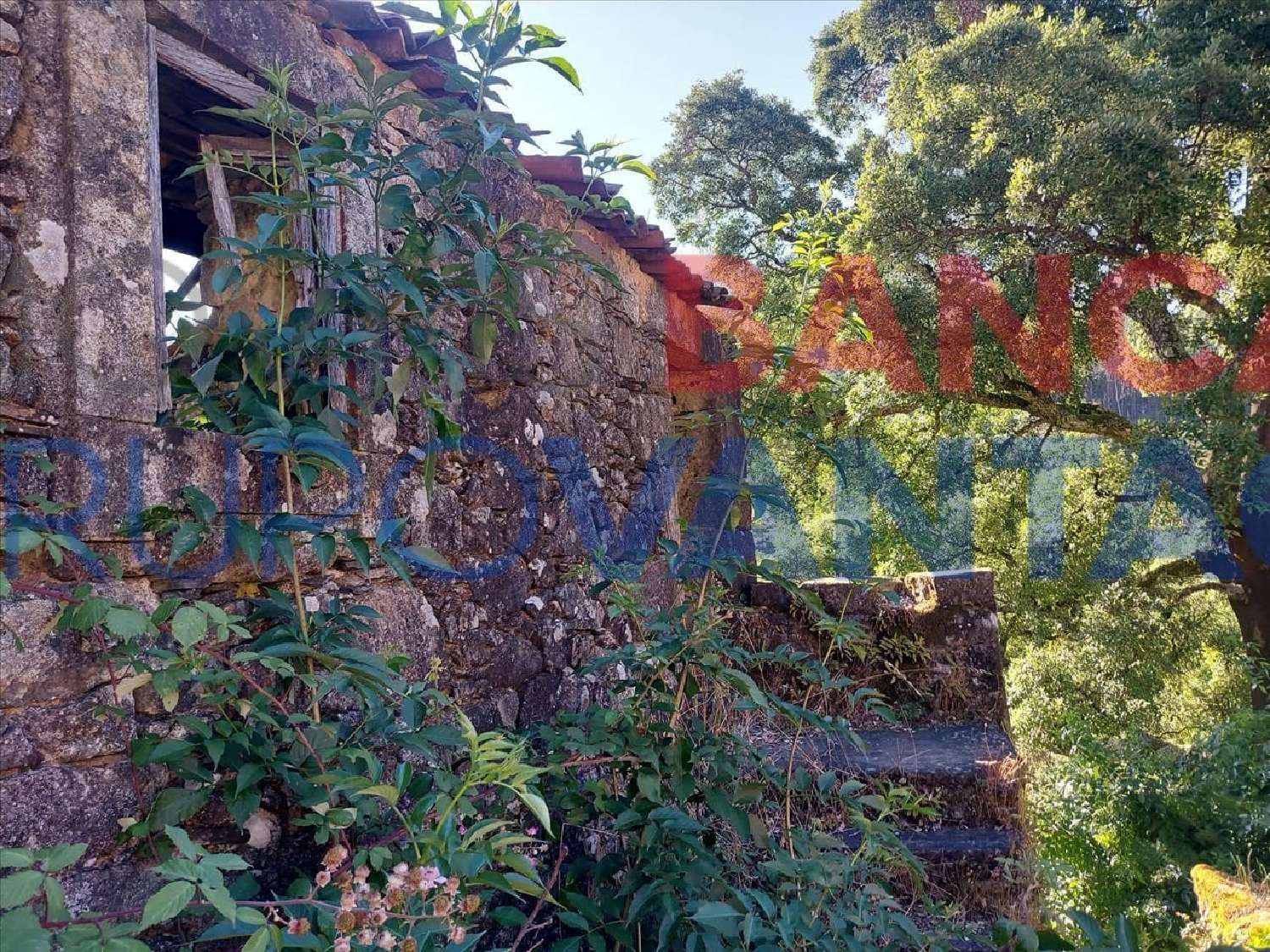  te koop huis Castanheira de Pêra Castanheira De Pêra 1