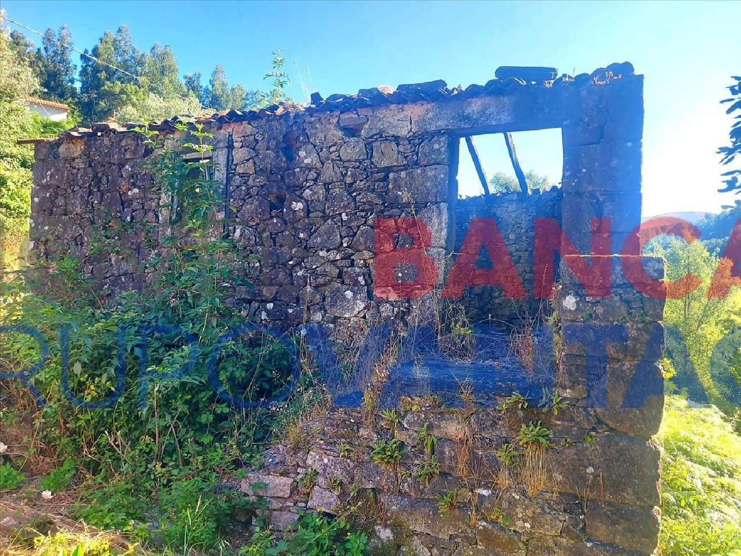  te koop huis Castanheira de Pêra Castanheira De Pêra 2