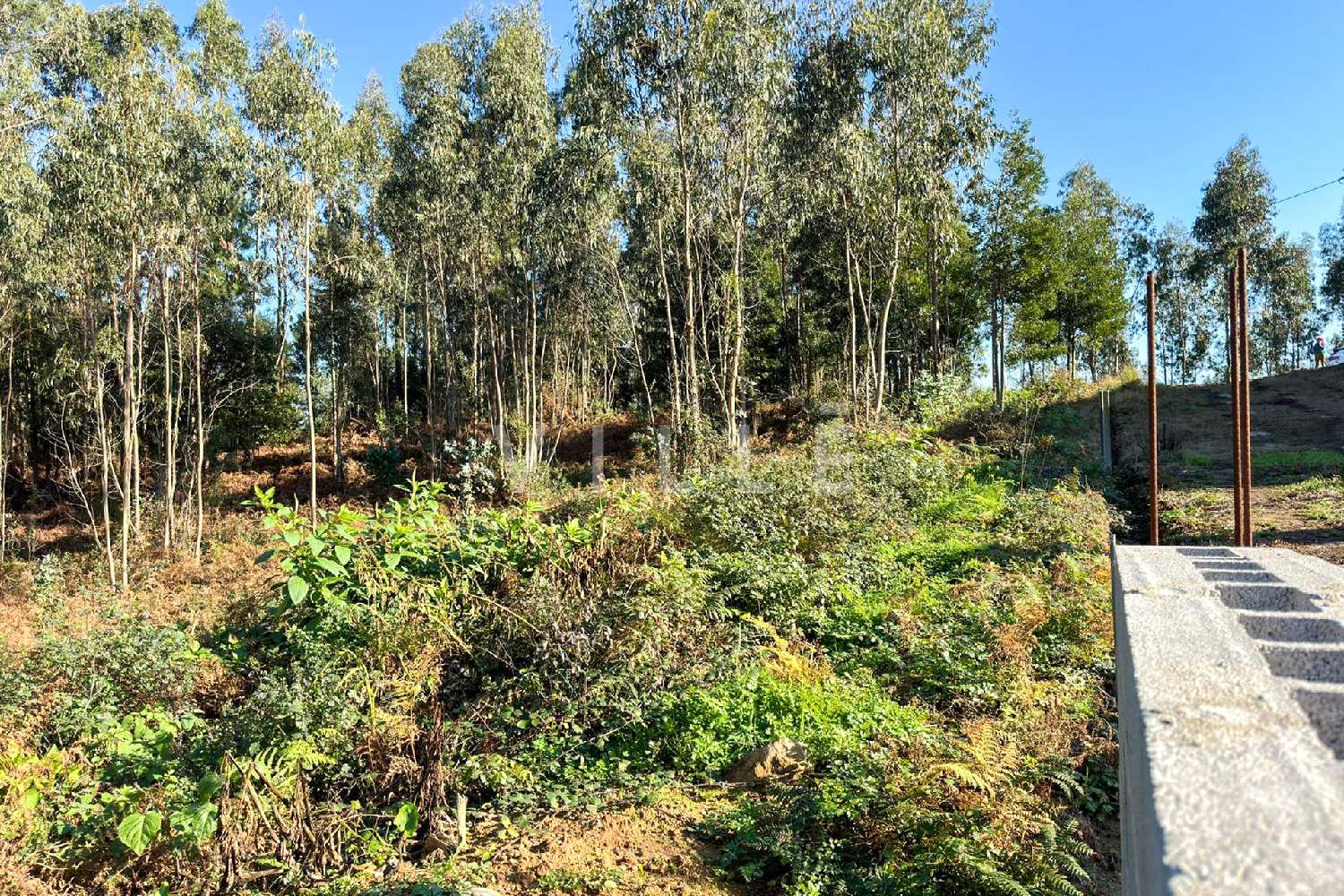 te koop huis Espinho Arouca 7