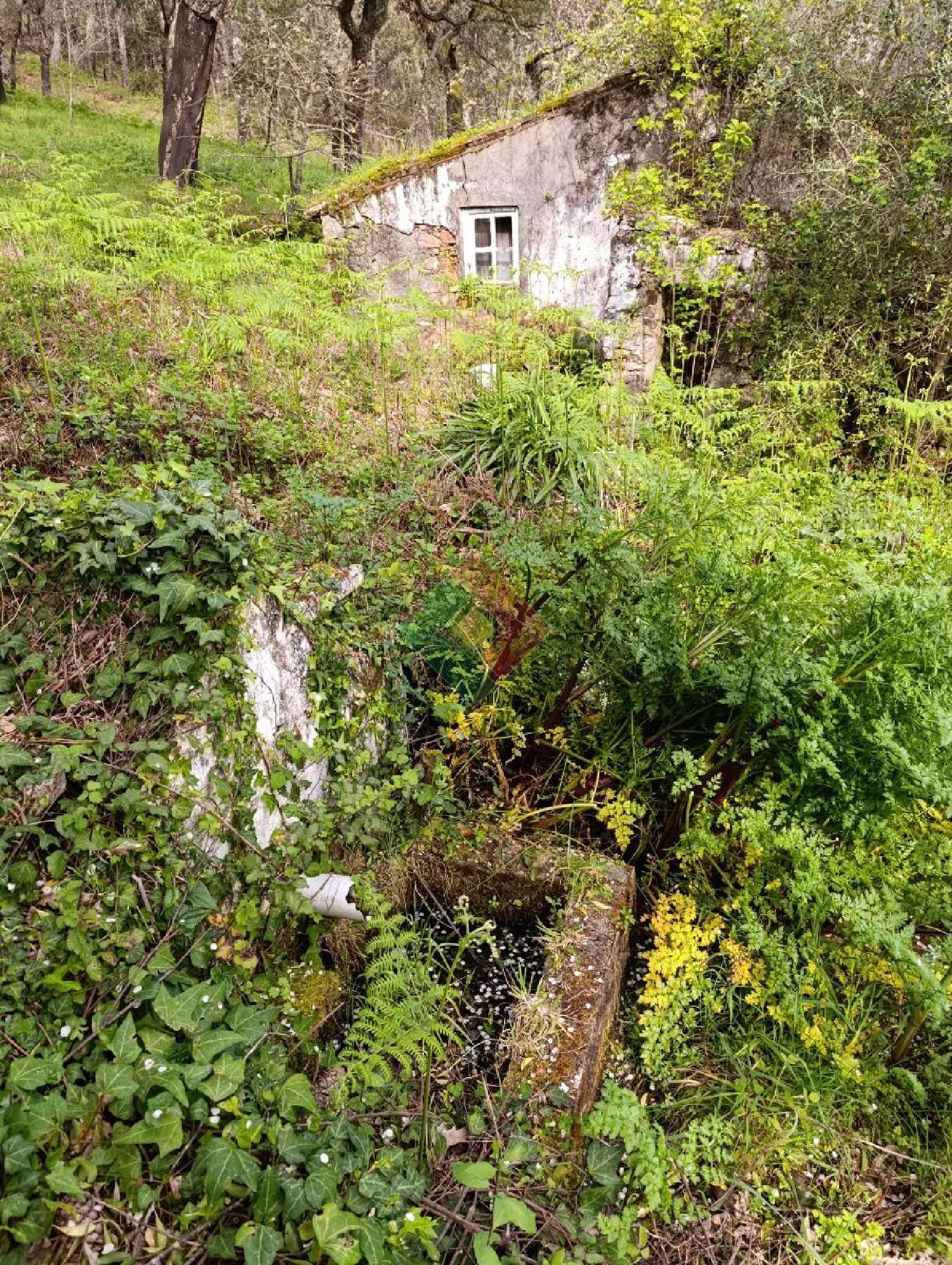  te koop huis Marvão Marvão 1