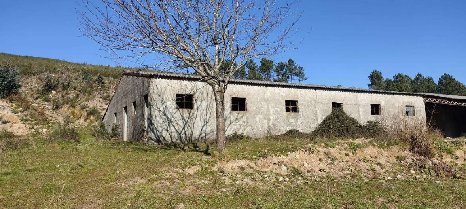  te koop huis Gestaçô Baião 3