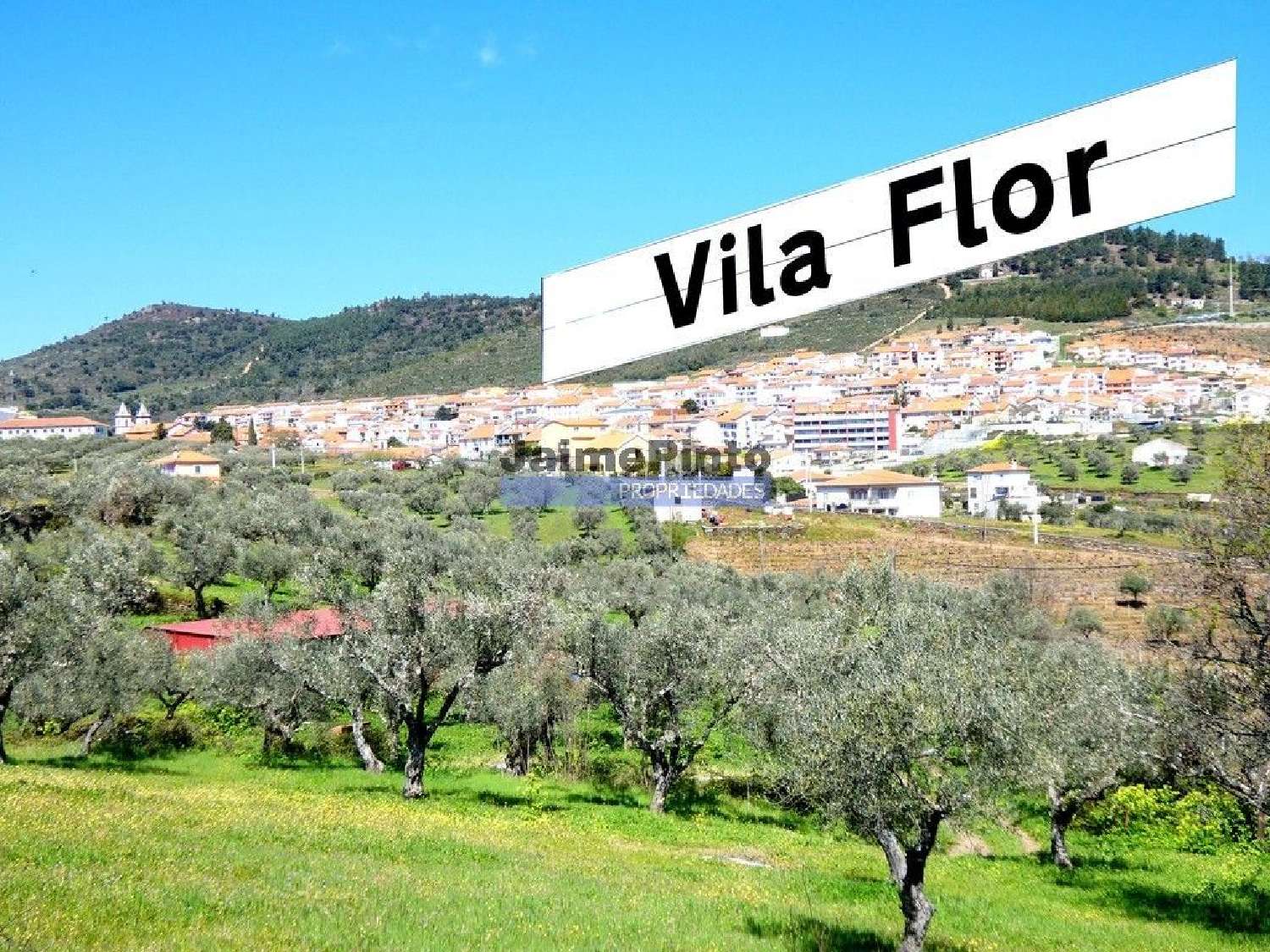  te koop huis Nabo Vila Flor 1