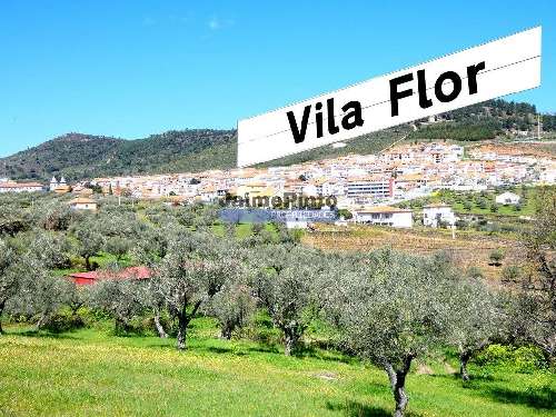 Nabo Vila Flor casa foto 313572