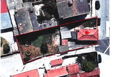 Oliveira do Douro Cinfães huis foto 313626