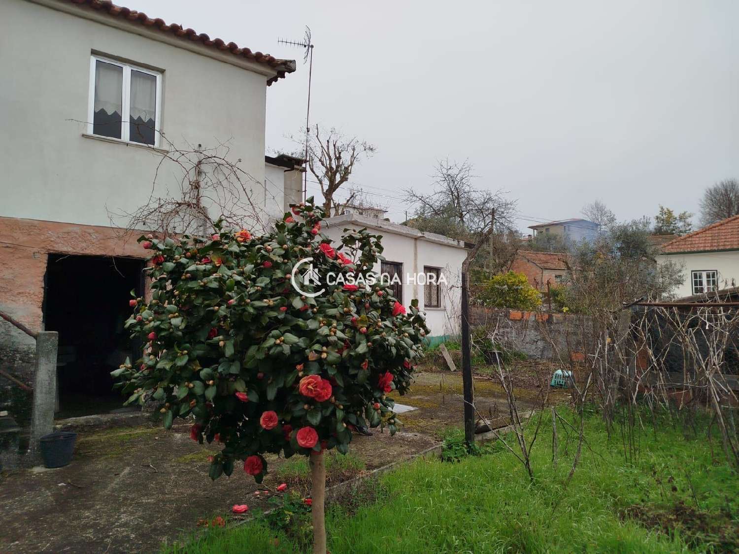  à vendre maison Pindelo dos Milagres São Pedro Do Sul 1