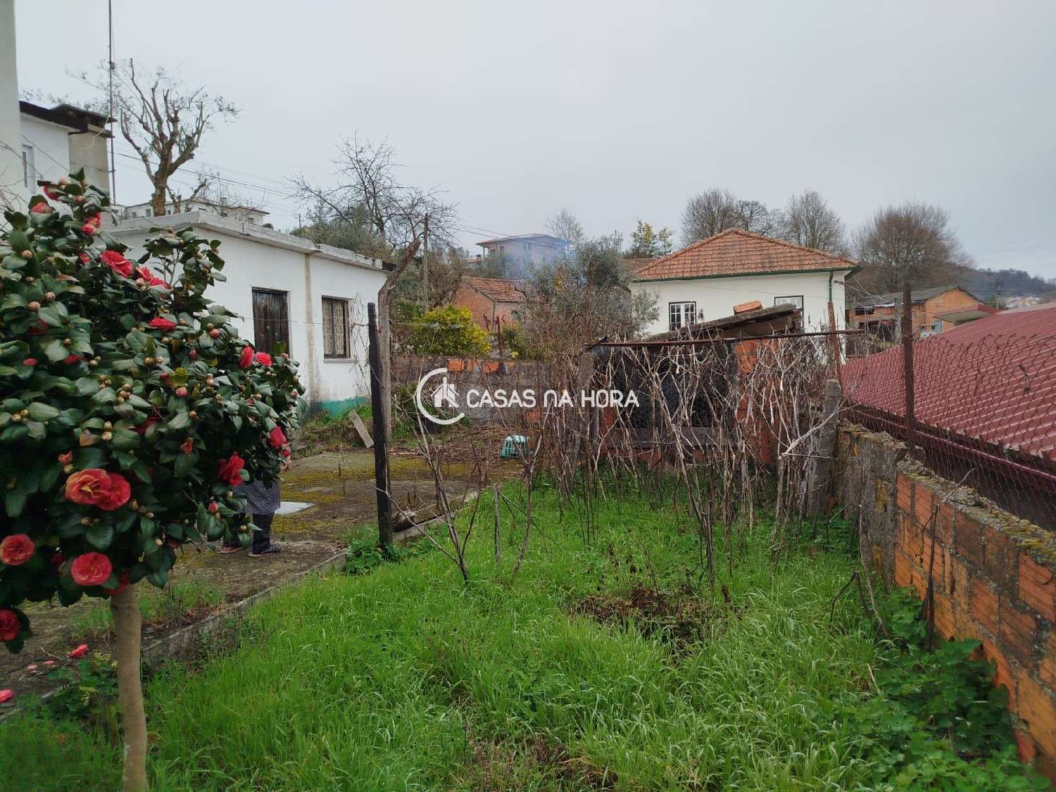 à vendre maison Pindelo dos Milagres São Pedro Do Sul 3