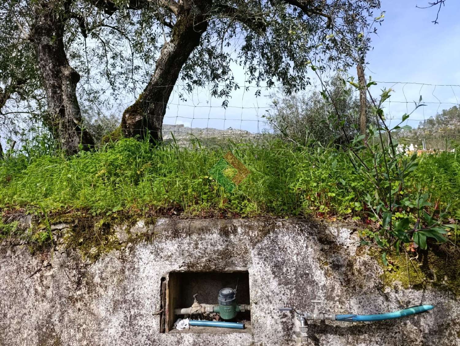à vendre maison Santo António das Areias Marvão 3