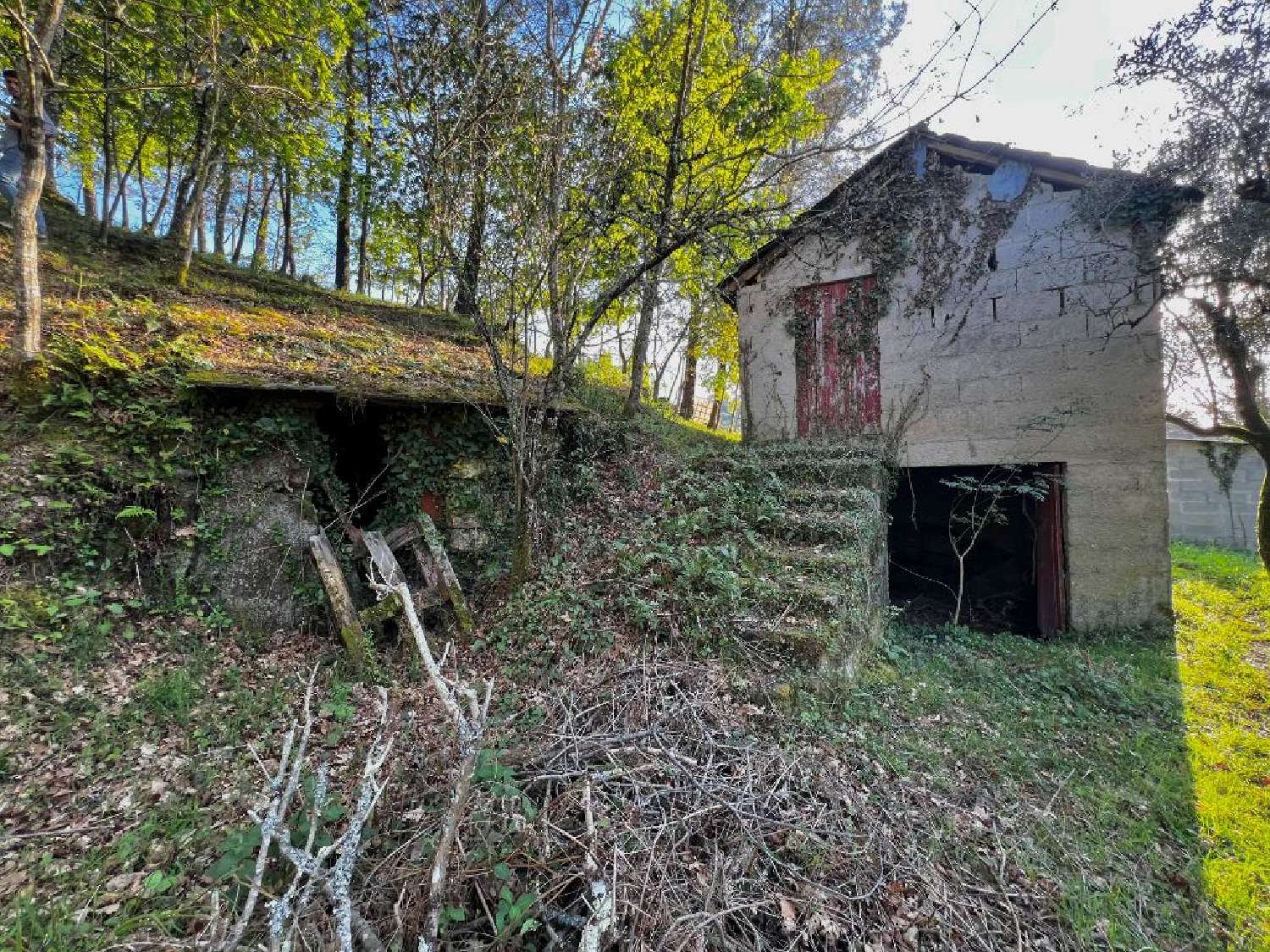 te koop huis Ansiães Amarante 2