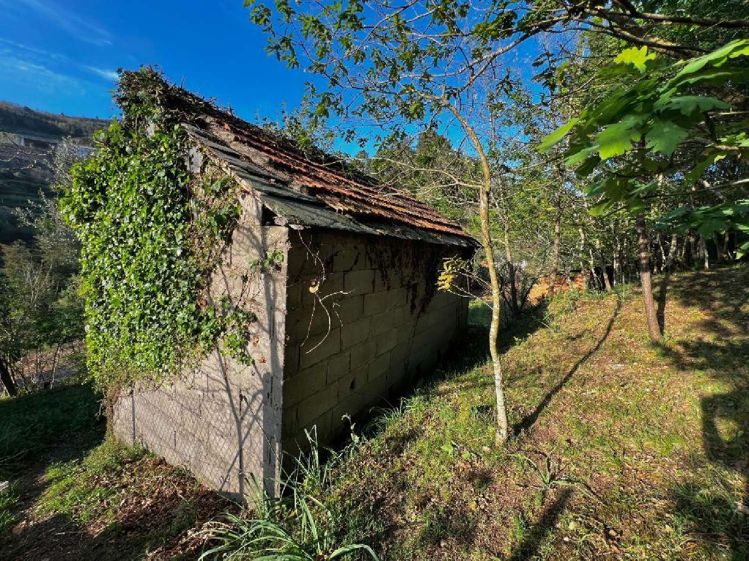 te koop huis Ansiães Amarante 3